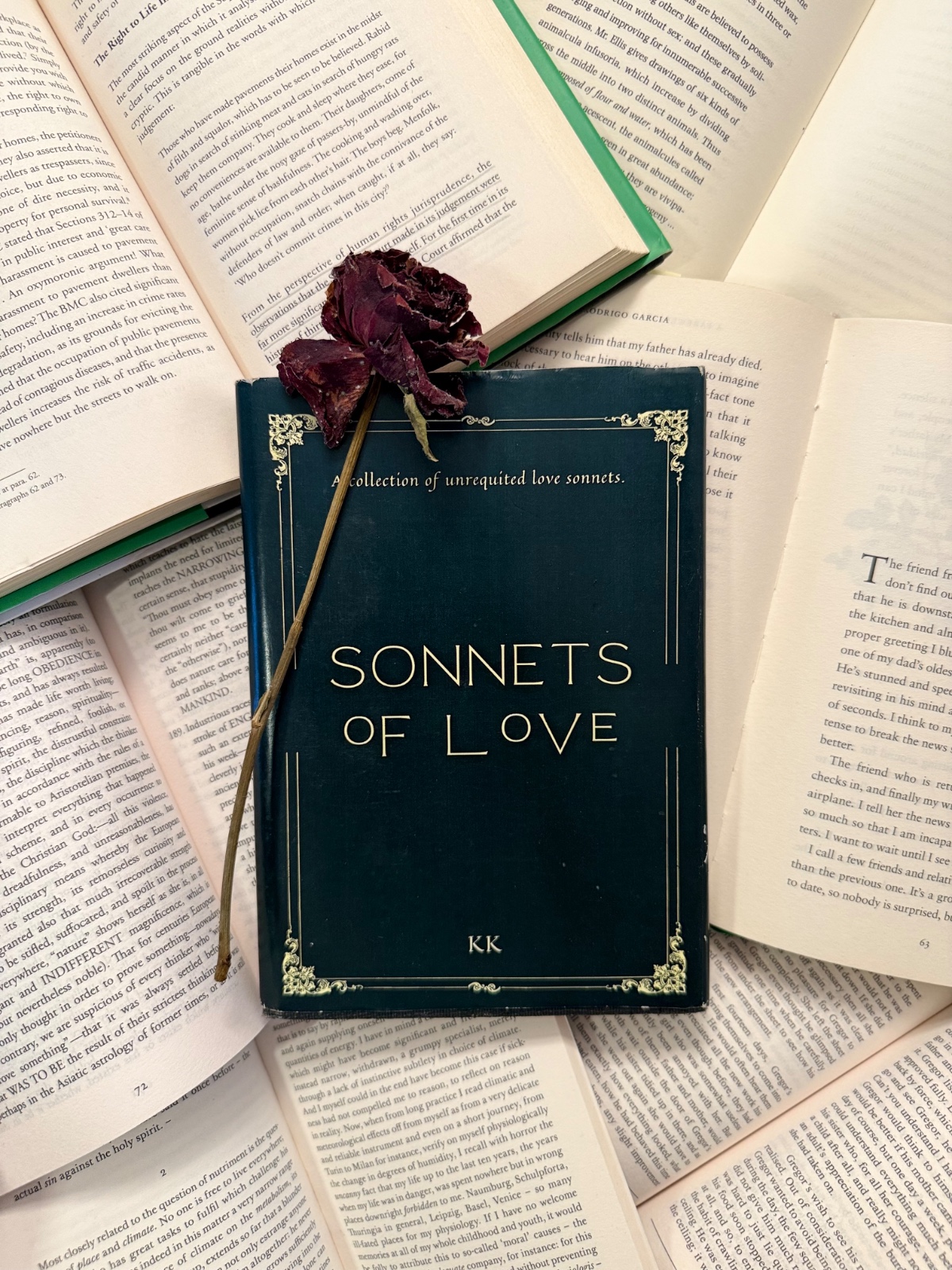 Sonnets of Love - Product Image 1